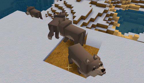 迷你世界狼怎么驯服迷你世界狼怎么繁殖