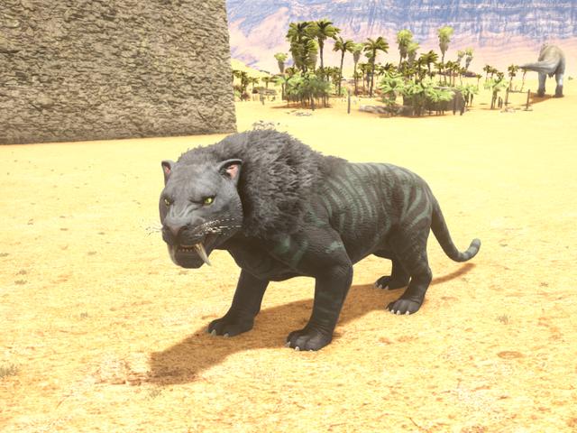 方舟生存进化剑齿虎厉害还是恐狼厉害方舟生存进化剑齿虎吃什么饲料及